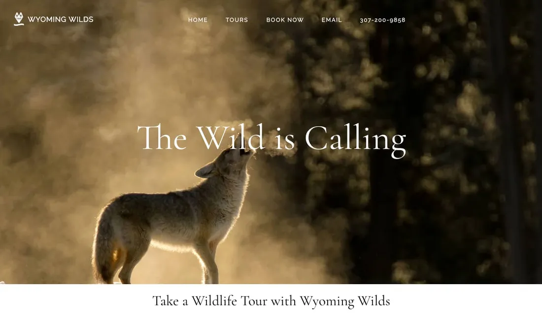 Wyoming Wilds website before the redesign